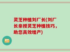 灵芝种植刘厂长(刘厂长亲授灵芝种植技巧，助您高效增产)