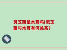 灵芝菌是木耳吗(灵芝菌与木耳有何关系？