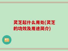 灵芝起什么用处(灵芝的功效及用途简介)