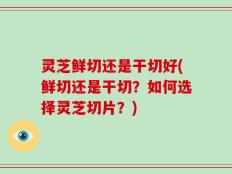 灵芝鲜切还是干切好(鲜切还是干切？如何选择灵芝切片？)