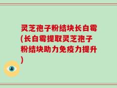 灵芝孢子粉结块长白霉(长白霉提取灵芝孢子粉结块助力免疫力提升)