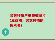 灵芝种植户王亚楠图片(王亚楠：灵芝种植的传承者)