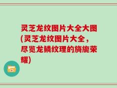 灵芝龙纹图片大全大图(灵芝龙纹图片大全，尽览龙鳞纹理的旖旎荣耀)