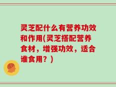 灵芝配什么有营养功效和作用(灵芝搭配营养食材，增强功效，适合谁食用？)