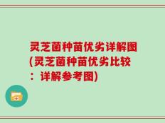 灵芝菌种苗优劣详解图(灵芝菌种苗优劣比较：详解参考图)