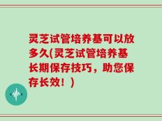 灵芝试管培养基可以放多久(灵芝试管培养基长期保存技巧，助您保存长效！)