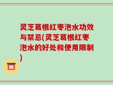 灵芝葛根红枣泡水功效与禁忌(灵芝葛根红枣泡水的好处和使用限制)