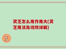 灵芝怎么用作用大(灵芝用法及功效详解)
