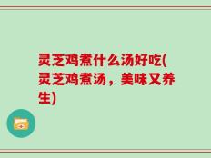 灵芝鸡煮什么汤好吃(灵芝鸡煮汤，美味又养生)