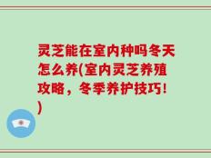 灵芝能在室内种吗冬天怎么养(室内灵芝养殖攻略，冬季养护技巧！)