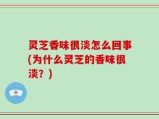 灵芝香味很淡怎么回事(为什么灵芝的香味很淡？)