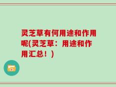 灵芝草有何用途和作用呢(灵芝草：用途和作用汇总！)