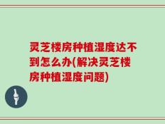 灵芝楼房种植湿度达不到怎么办(解决灵芝楼房种植湿度问题)