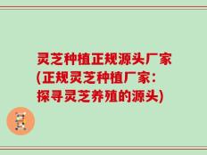 灵芝种植正规源头厂家(正规灵芝种植厂家：探寻灵芝养殖的源头)