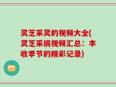 灵芝采灵的视频大全(灵芝采摘视频汇总：丰收季节的精彩记录)