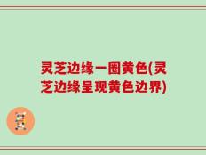 灵芝边缘一圈黄色(灵芝边缘呈现黄色边界)