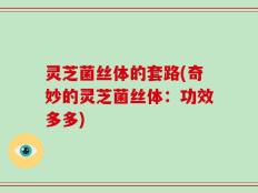灵芝菌丝体的套路(奇妙的灵芝菌丝体：功效多多)