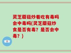 灵芝蘑菇炒着吃有毒吗会中毒吗(灵芝蘑菇炒食是否有毒？是否会中毒？)