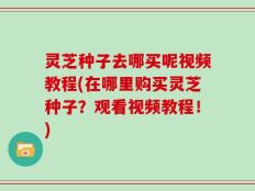 灵芝种子去哪买呢视频教程(在哪里购买灵芝种子？观看视频教程！)