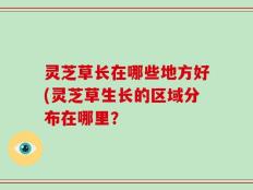 灵芝草长在哪些地方好(灵芝草生长的区域分布在哪里？