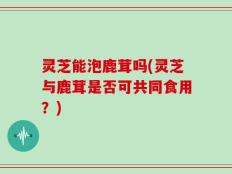 灵芝能泡鹿茸吗(灵芝与鹿茸是否可共同食用？)