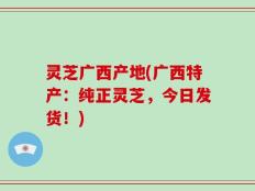 灵芝广西产地(广西特产：纯正灵芝，今日发货！)