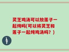灵芝鸡汤可以放莲子一起炖吗(可以将灵芝和莲子一起炖鸡汤吗？)