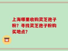 上海哪里收购灵芝孢子粉？寻找灵芝孢子粉购买地点？