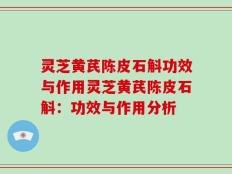 灵芝黄芪陈皮石斛功效与作用灵芝黄芪陈皮石斛：功效与作用分析