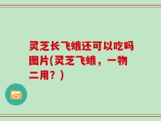 灵芝长飞蛾还可以吃吗图片(灵芝飞蛾，一物二用？)