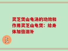 灵芝煲山龟汤的功效和作用灵芝山龟煲：给身体加倍滋补