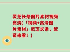 灵芝长条图片素材视频高清(「视频+高清图片素材」灵芝长条，赶紧来看！)