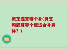 灵芝鹿茸哪个补(灵芝和鹿茸哪个更适合补身体？)