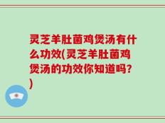 灵芝羊肚菌鸡煲汤有什么功效(灵芝羊肚菌鸡煲汤的功效你知道吗？)