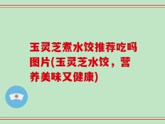 玉灵芝煮水饺推荐吃吗图片(玉灵芝水饺，营养美味又健康)