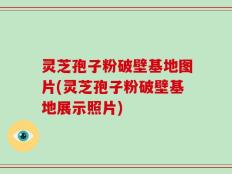 灵芝孢子粉破壁基地图片(灵芝孢子粉破壁基地展示照片)