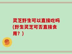 灵芝野生可以直接吃吗(野生灵芝可否直接食用？)