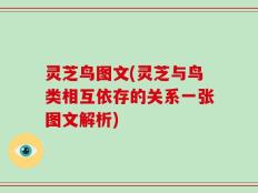灵芝鸟图文(灵芝与鸟类相互依存的关系一张图文解析)