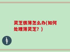 灵芝很薄怎么办(如何处理薄灵芝？)