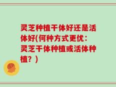 灵芝种植干体好还是活体好(何种方式更优：灵芝干体种植或活体种植？)