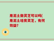 用泥土做灵芝可以吗(用泥土培育灵芝，有何效益？