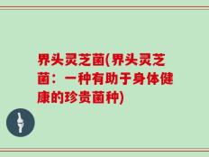 界头灵芝菌(界头灵芝菌：一种有助于身体健康的珍贵菌种)