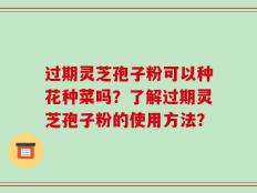 过期灵芝孢子粉可以种花种菜吗？了解过期灵芝孢子粉的使用方法？