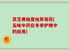 灵芝黄柏夏枯草菊花(五味中药在冬季护理中的应用)