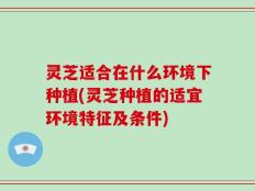 灵芝适合在什么环境下种植(灵芝种植的适宜环境特征及条件)