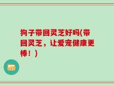 狗子带回灵芝好吗(带回灵芝，让爱宠健康更棒！)