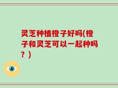 灵芝种植橙子好吗(橙子和灵芝可以一起种吗？)