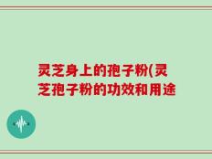 灵芝身上的孢子粉(灵芝孢子粉的功效和用途