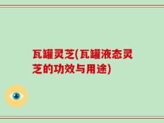 瓦罐灵芝(瓦罐液态灵芝的功效与用途)