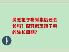 灵芝孢子粉采集后还会长吗？探究灵芝孢子粉的生长周期？